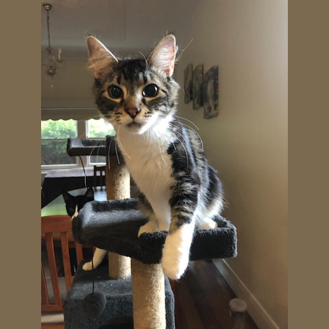 Photo of Truffle