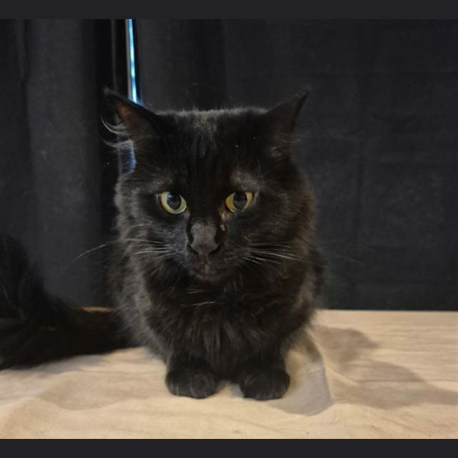 Photo of Hunter