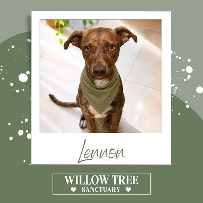 Photo of Lennon