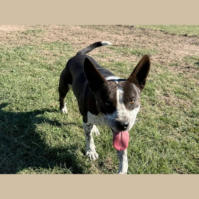 Photo of Charlie