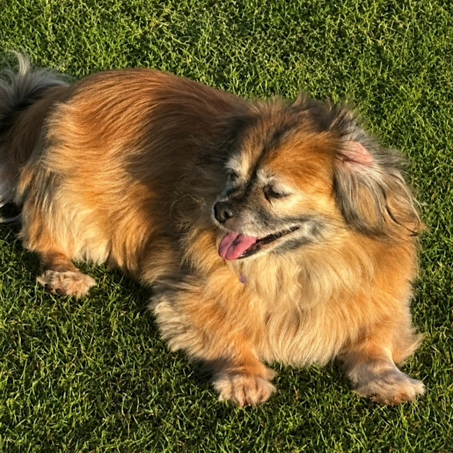 Photo of Sookie