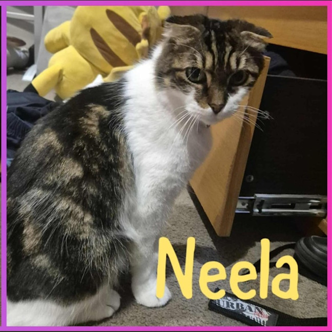 Photo of Ava & Neela