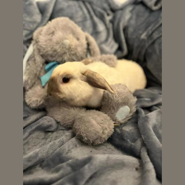 Photo of Angel
