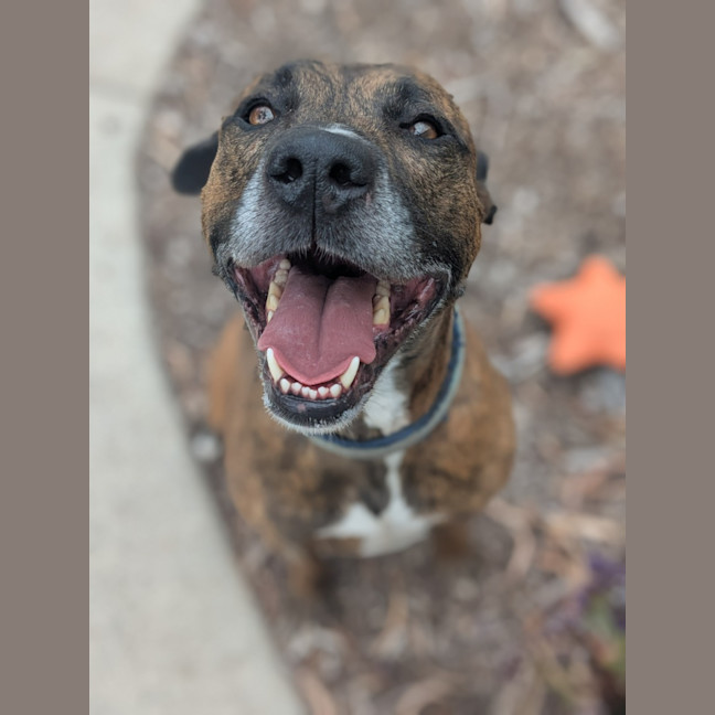 Photo of 🛶 Laszlo 5824 🛶