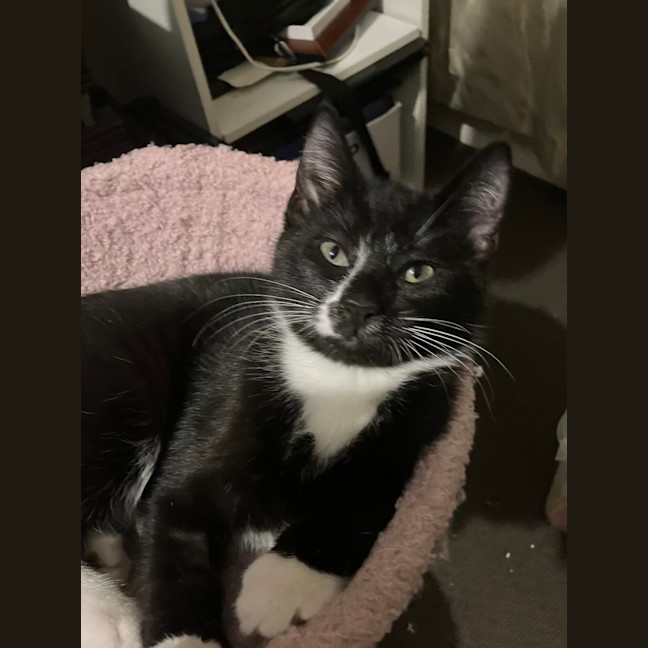 Photo of Bertie