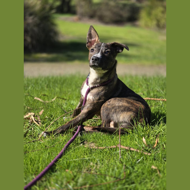 Photo of Kesia