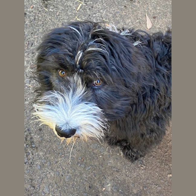 Photo of Bozo