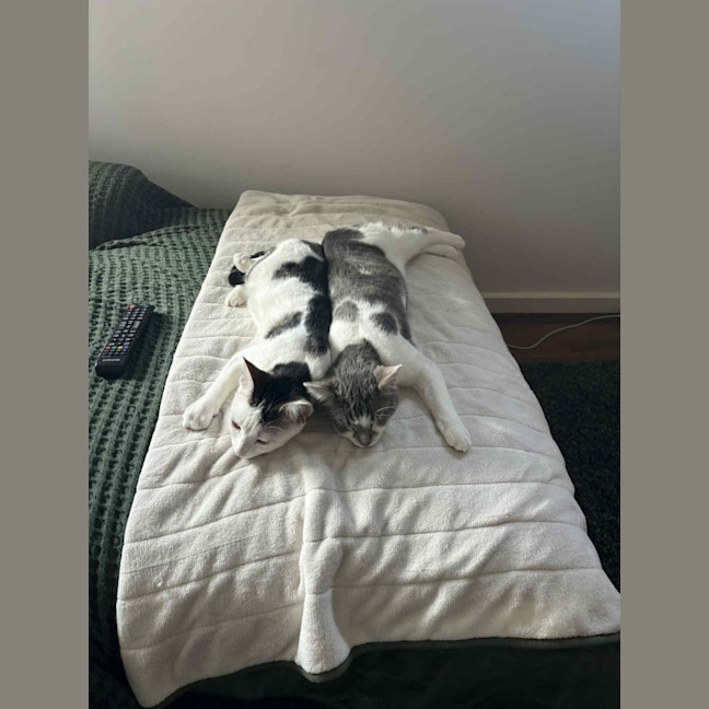 Photo of Cloud & Pebble