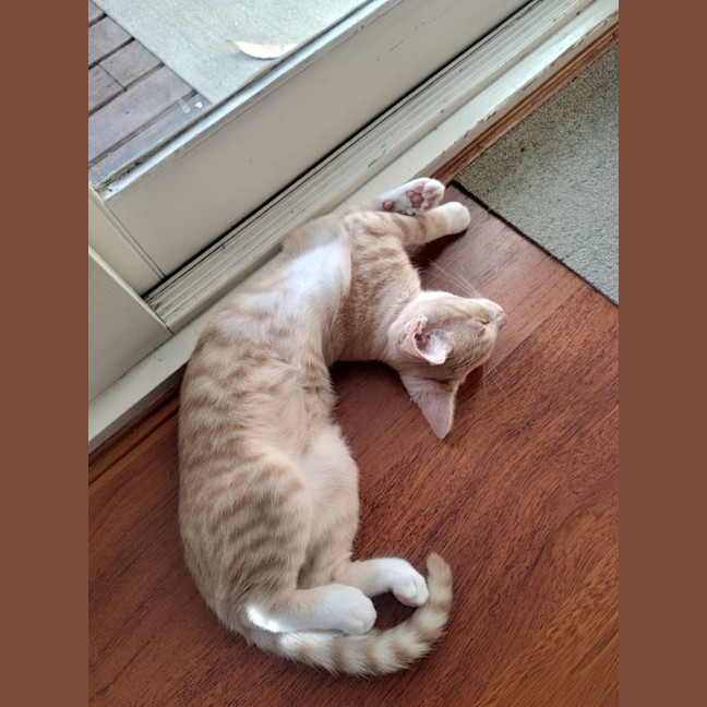 Photo of Wanda