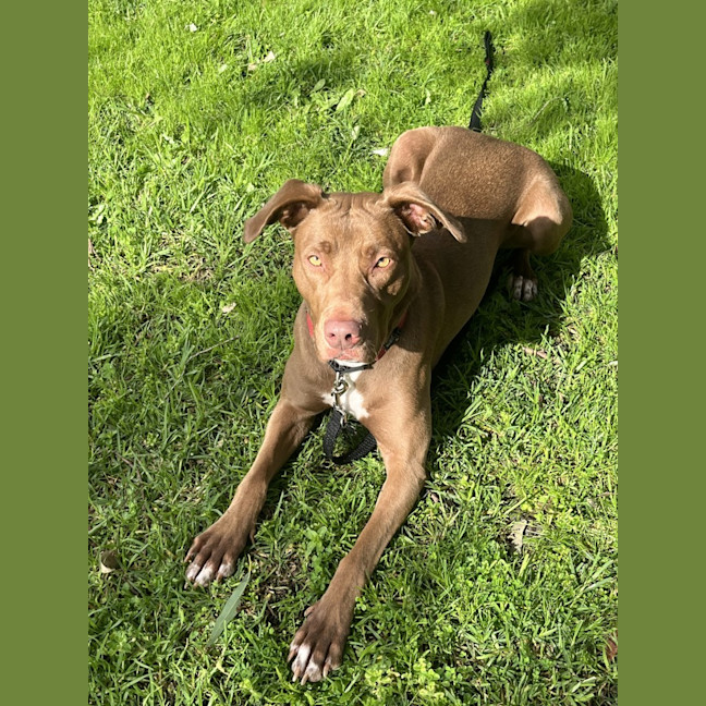 Photo of Zoe