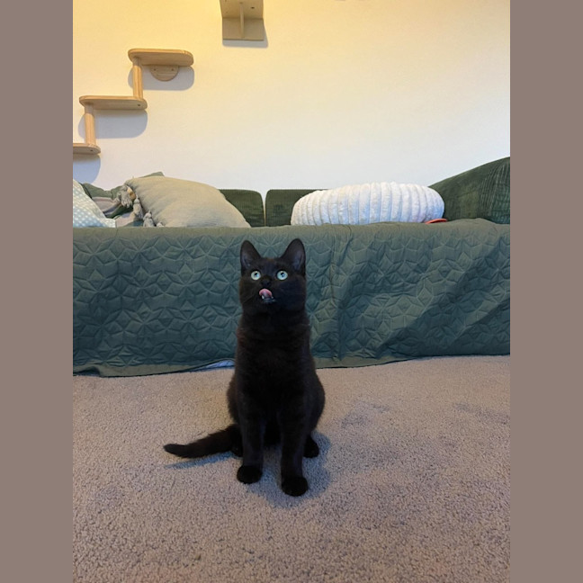 Photo of Otis