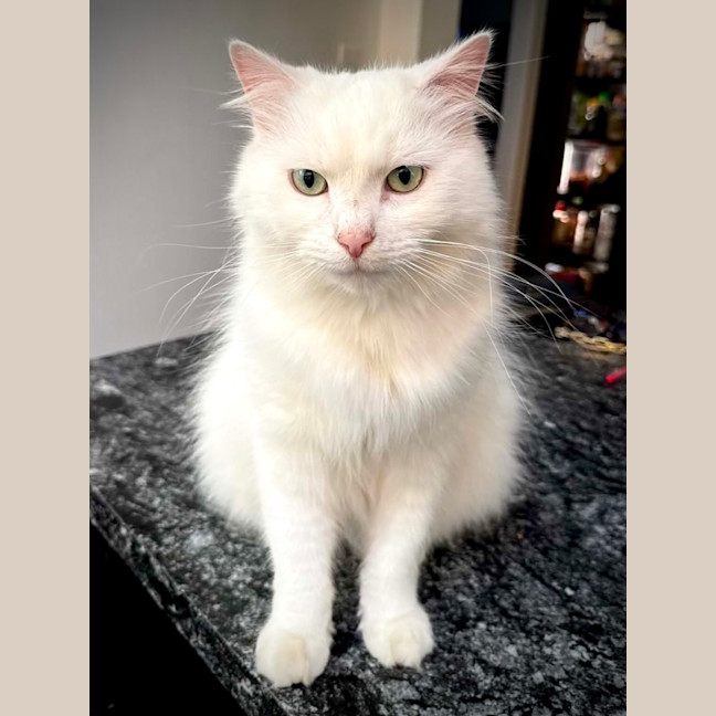 Photo of Max