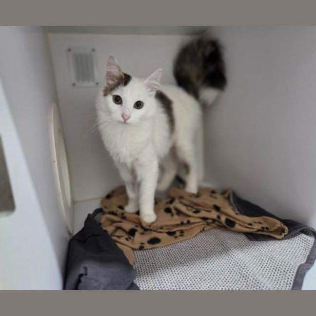 Photo of Tilly