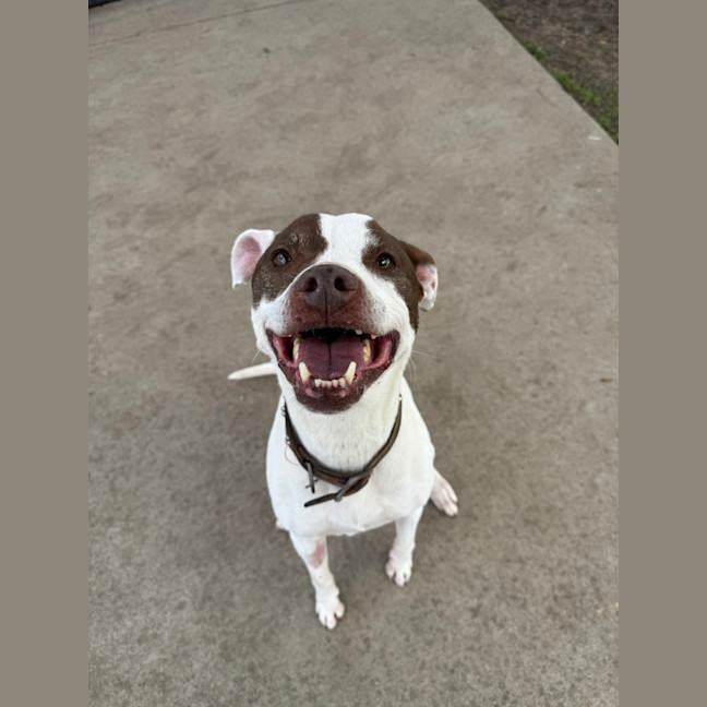 Photo of Xena 