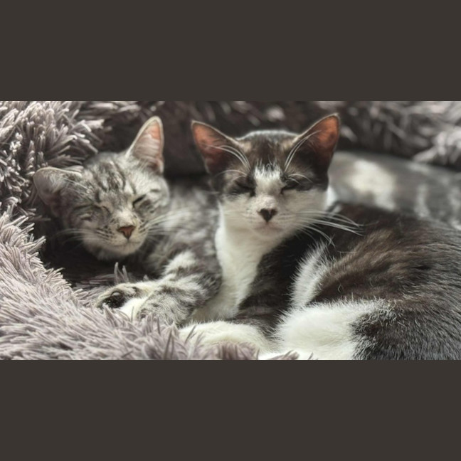 Photo of Tommy And Alice