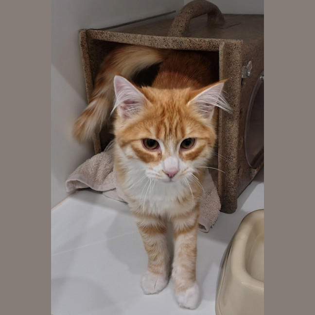 Photo of Sandy