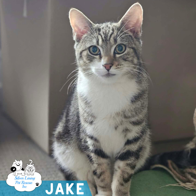 Photo of Jake