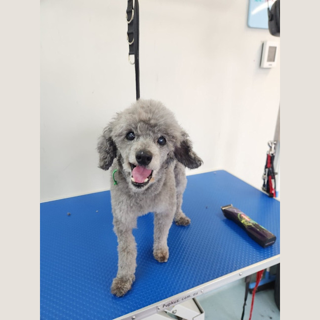 Photo of Carlos And Charlie