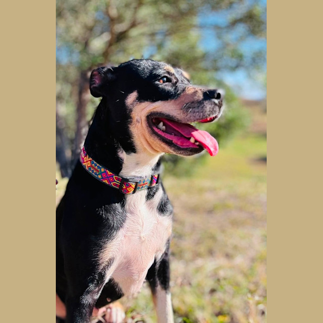 Photo of Tess