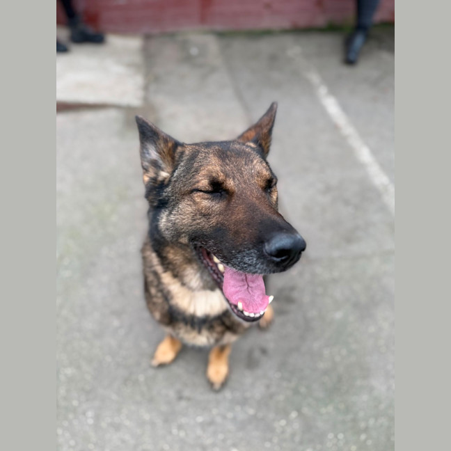 Photo of Lenny