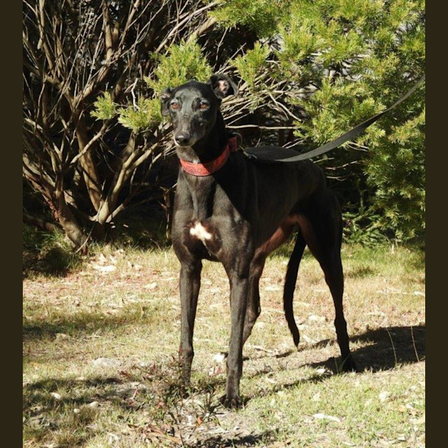 Photo of Heidi