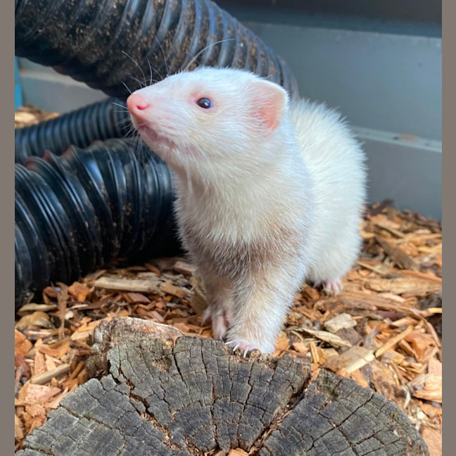 Photo of Luna & Rory