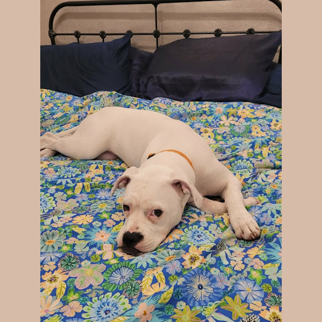 Photo of Lily