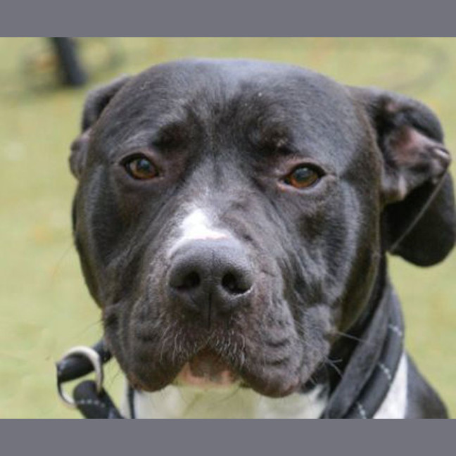 Photo of Zeus