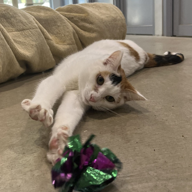Photo of Lilly