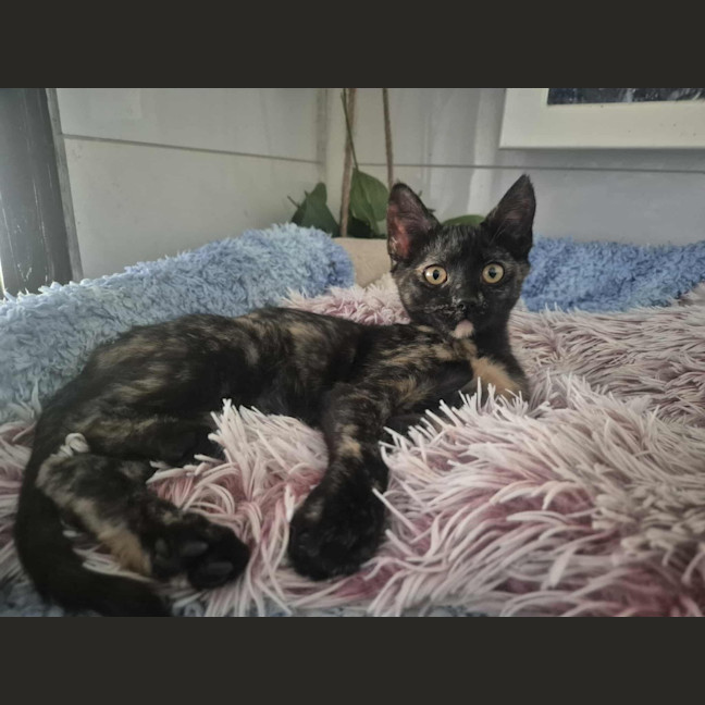 Photo of Sally