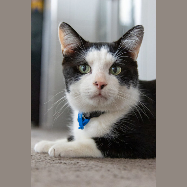 Photo of Billy