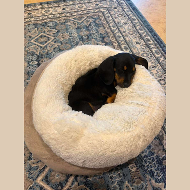 Photo of Frank