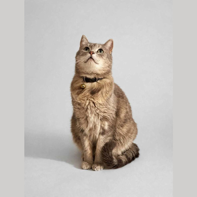 Photo of Maisy Moo