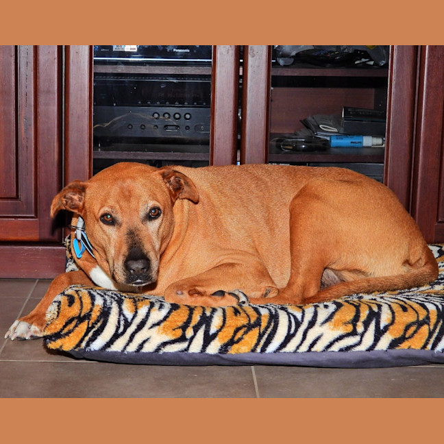 Photo of Maverick