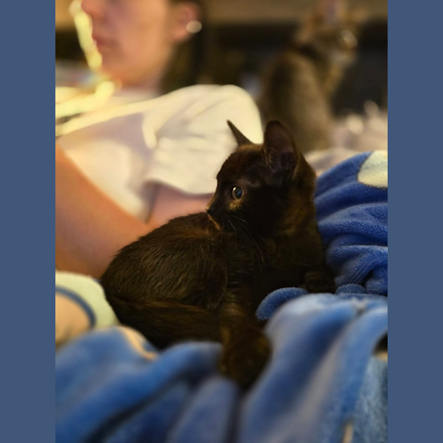 Photo of The Void!! 🐈‍⬛