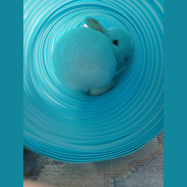 Photo of Bertha