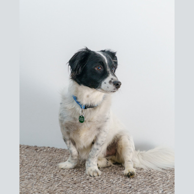 Photo of Sam Jablonski