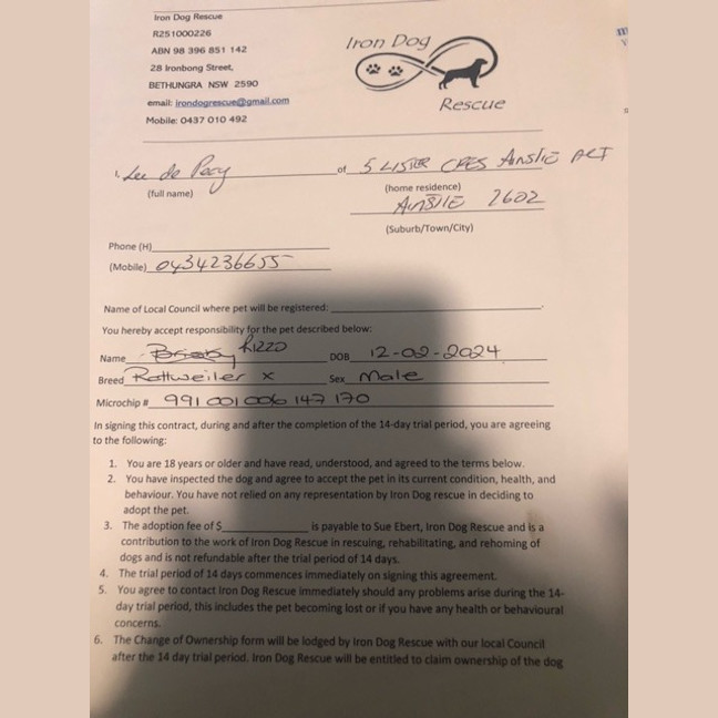 Photo of Brisby (Rizzo)