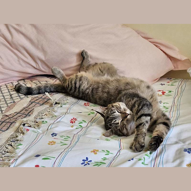 Photo of Miss Smooch