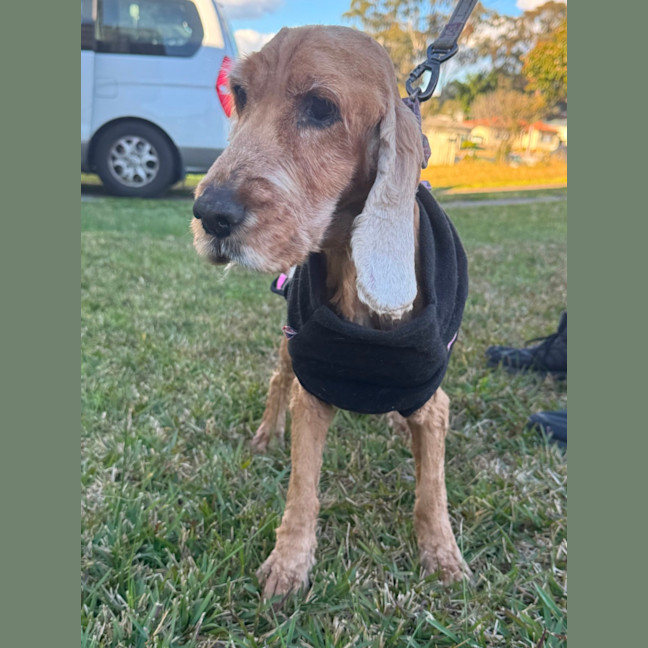 Photo of Maddie