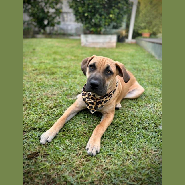 Photo of Liam O’cleary