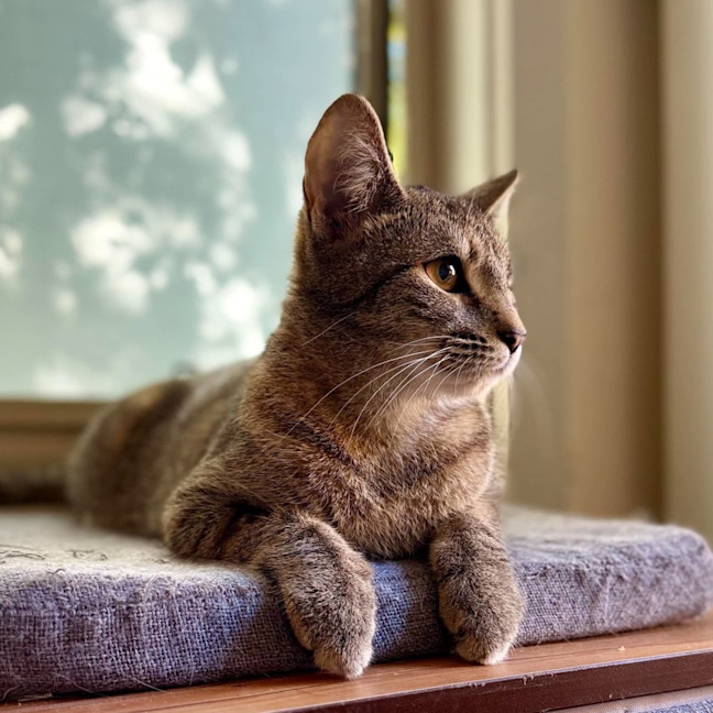 Photo of Melody   In Foster Care In Templestowe
