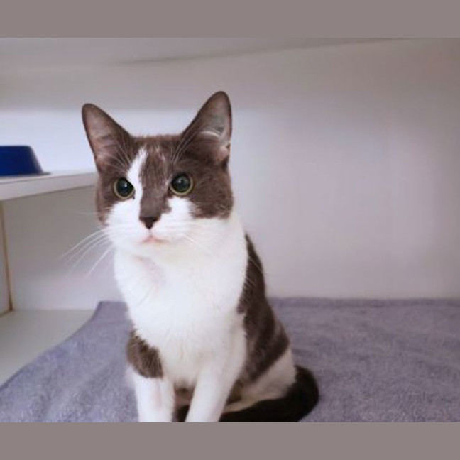 Photo of Martha Moo