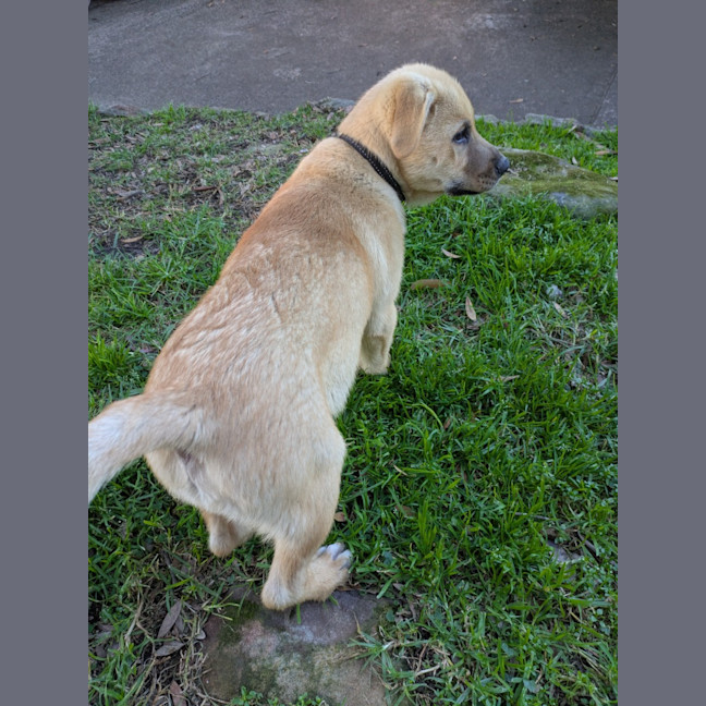 Photo of Avery