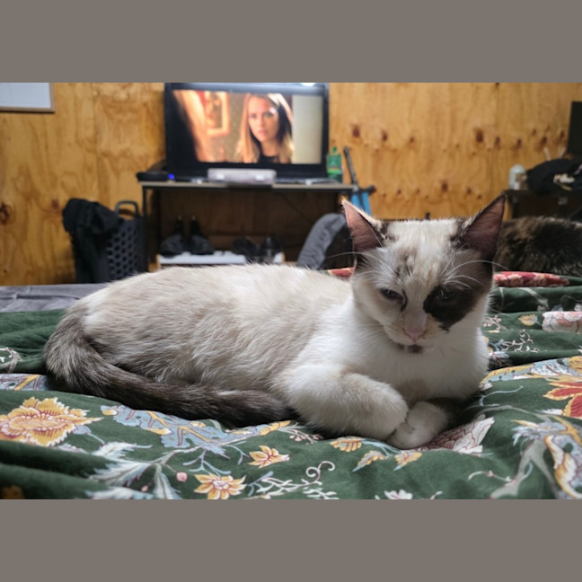 Photo of Dairy Queen