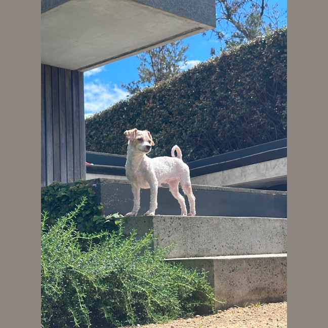 Photo of Polly