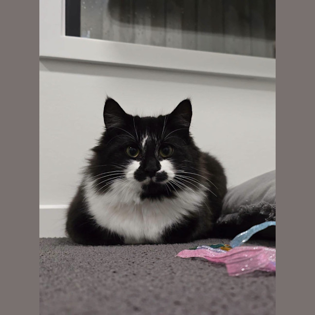 Photo of Mrs Tux