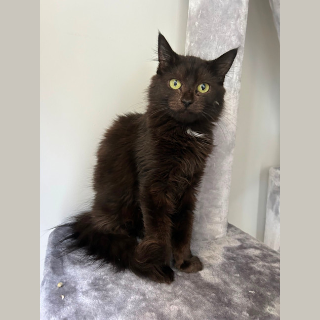 Photo of Harper 🩷 