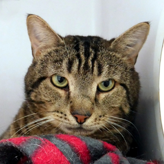 Photo of Bruce Sta015611
