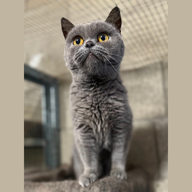 Photo of Fafa And Britt